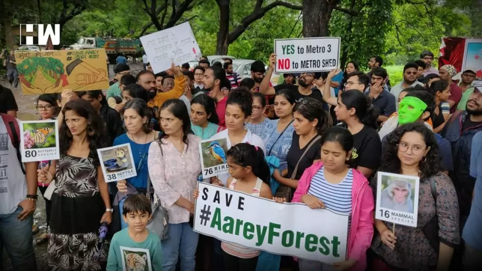 Aarey