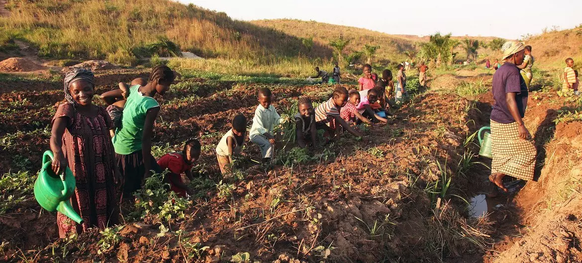 Women and children displaced by violence working in their vegetable garden in Kalemie, Tanganyika where FAO provides seeds and tools so that displaced families and the local population can grow vegetables.
