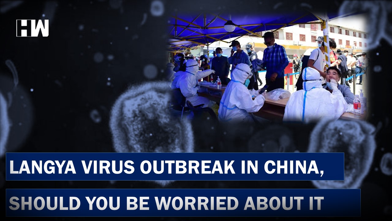 What Is Novel Langya Virus All You Need To Know About The Virus HW 
