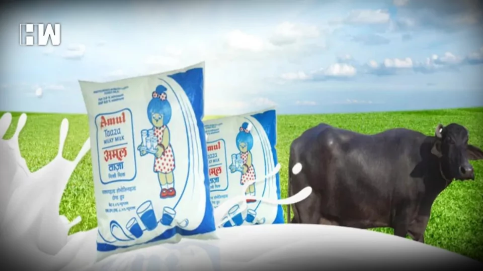 Amul Milk
