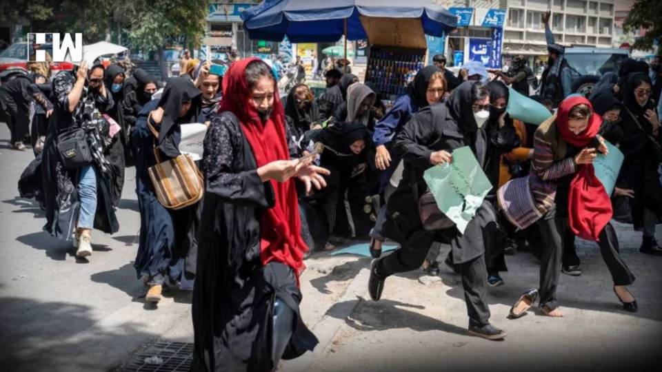 Afghan
