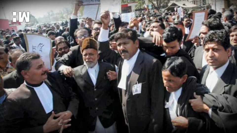 Lawyers