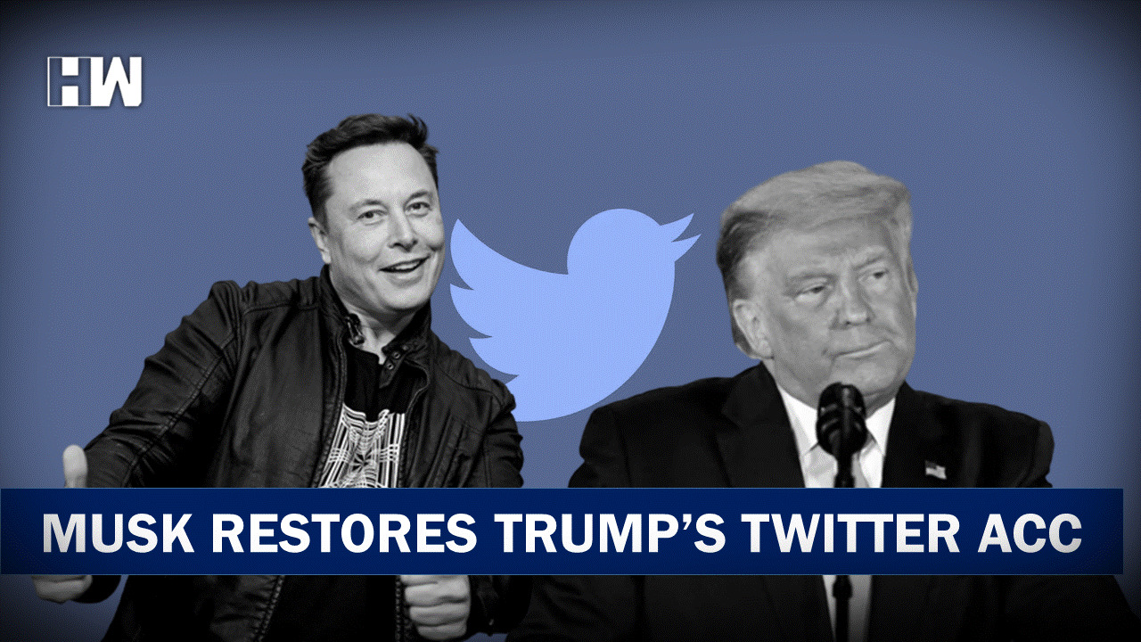 Headlines Elon Musk Restores Former Potus Donald Trumps Twitter Account Hw News English 