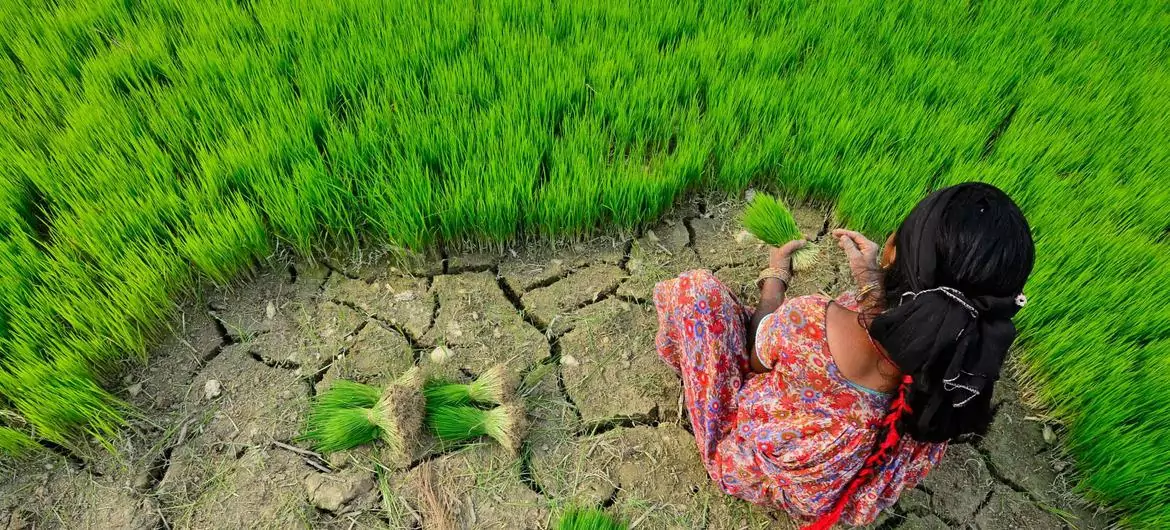 Farmers in western Nepal are learning how to cope with higher temperatures and different rainfall patterns. 