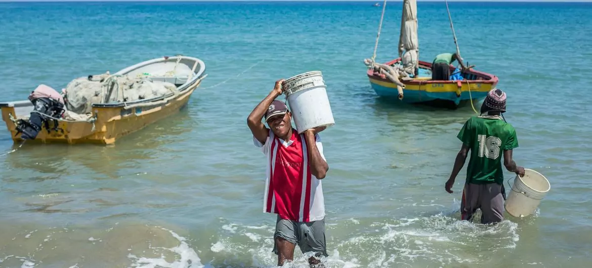 Sustainable fishing is improving livelihoods in Haiti. Sustainable fishing is improving livelihoods in Haiti.