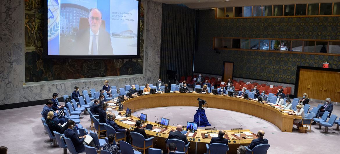 Fernando Arias (on screen), Director-General of the Organization for the Prohibition of Chemical Weapons (OPCW), briefs Security Council members on the situation in Syria.