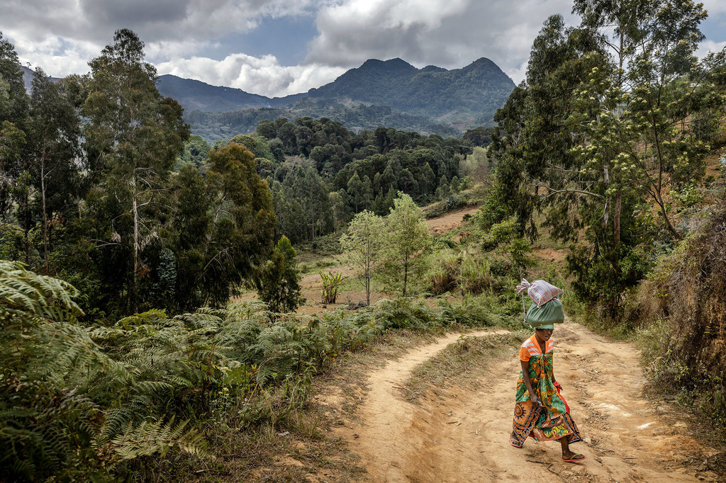 A woman carries goods through Uluguru Nature Forest Reserve in Morogoro, Tanzania.