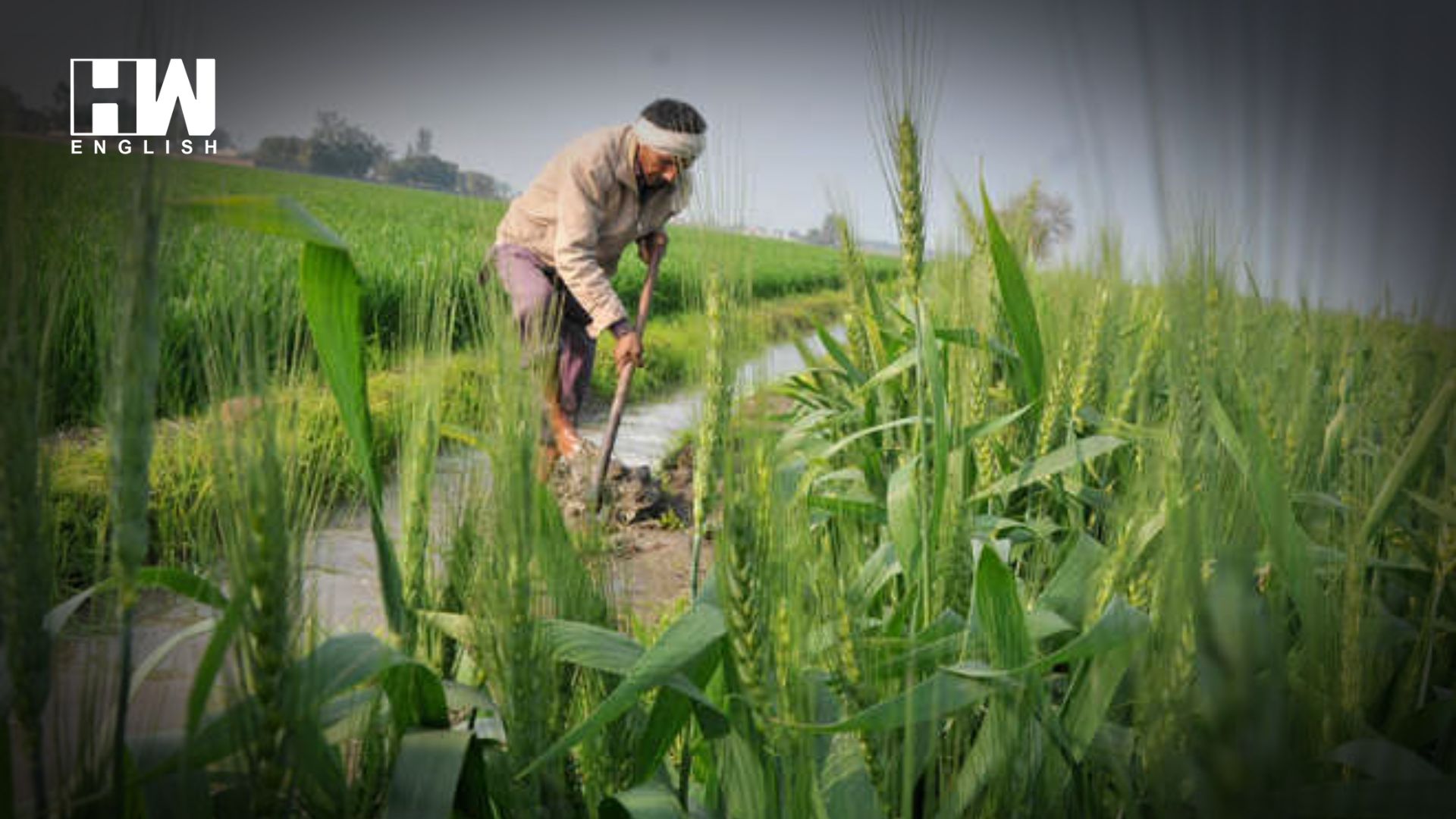 image of EC Asks Telangana to Halt Financial Aid for Farmers under Rythu Bandhu Scheme 