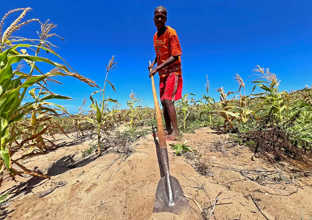 Accessing water to grow crops is a constant concern for many farmers in southern Madagascar. Accessing water to grow crops is a constant concern for many farmers in southern Madagascar.
