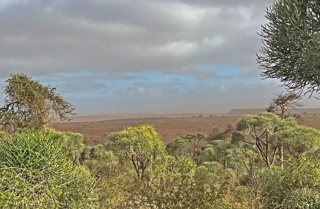 El Nino is bringing drier conditions and stronger winds across southern Madagascar. El Nino is bringing drier conditions and stronger winds across southern Madagascar.